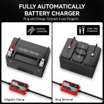 Chargeur de batterie intelligent Foval 12V 1000mA, chargeur de batterie automatique Chargeur de batterie intelligent Foval 12V 1000mA, chargeur de batterie automatique