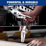 WORKPRO Jeu de 5 pinces-étaux, jeu d'outils de pinces, poignées d'étau en acier au chrome-vanadium, pince à mâchoires incurvées de 5/7/10 pouces, pince à bec long de 6,5/9 pouces