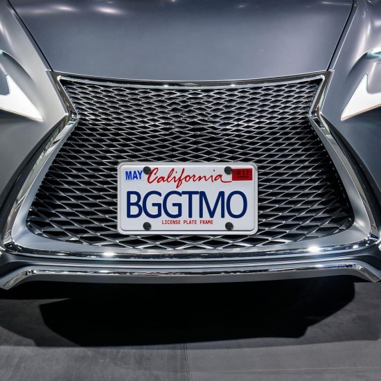 BGGTMO Support de plaque d'immatriculation - Kit de montage de plaque d'immatriculation avant, adaptateur universel de montage de cadre d'étiquette de pare-chocs de voiture avec bouchon à vis en acier inoxydable, attaches de câble