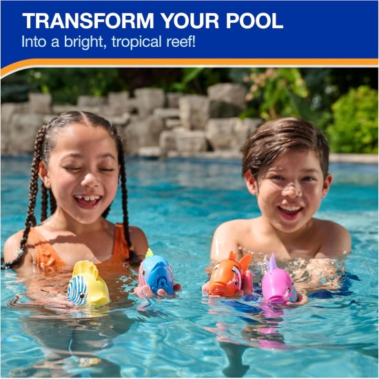 SwimWays Jouet poisson de récif arc-en-ciel, accessoires de natation et jouets aquatiques pour enfants, jouets d'apprentissage de la piscine pour enfants à partir de 5 ans, piles incluses, retourneur de thon SwimWays Jouet poisson de récif arc-en-ciel, accessoires de natation et jouets aquatiques pour enfants, jouets d'apprentissage de la piscine pour enfants à partir de 5 ans, piles incluses, retourneur de thon