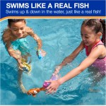 SwimWays Jouet poisson de récif arc-en-ciel, accessoires de natation et jouets aquatiques pour enfants, jouets d'apprentissage de la piscine pour enfants à partir de 5 ans, piles incluses, retourneur de thon SwimWays Jouet poisson de récif arc-en-ciel, accessoires de natation et jouets aquatiques pour enfants, jouets d'apprentissage de la piscine pour enfants à partir de 5 ans, piles incluses, retourneur de thon